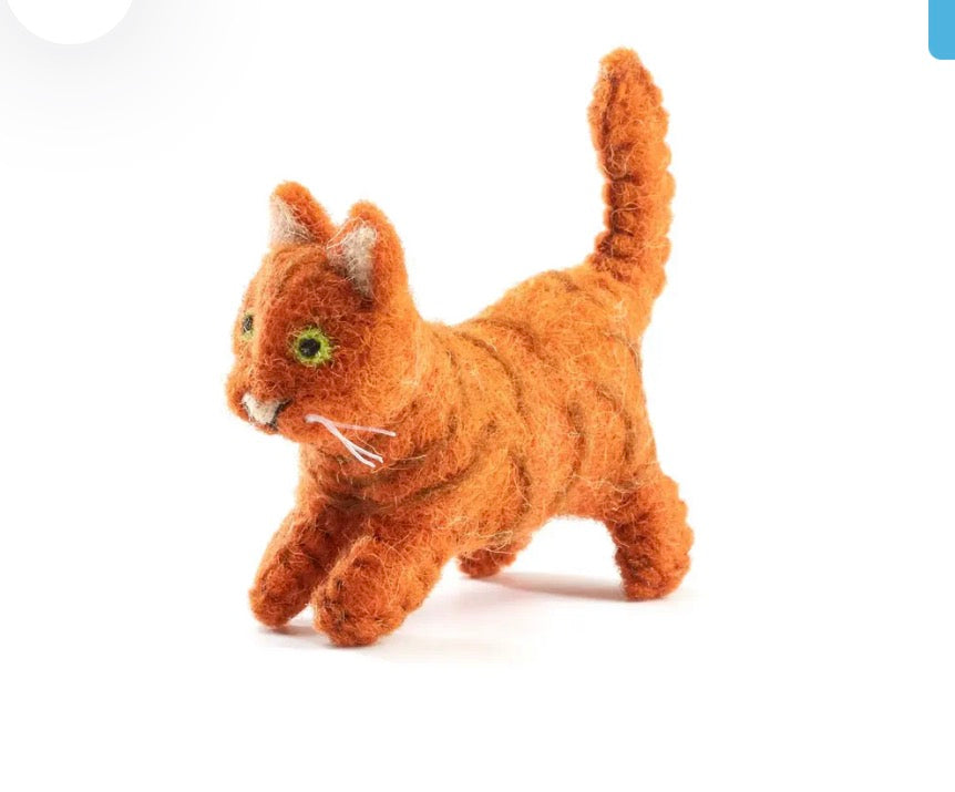 Molly the Marmalade Cat