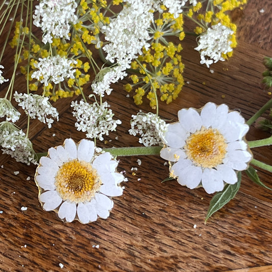 Daisy studs