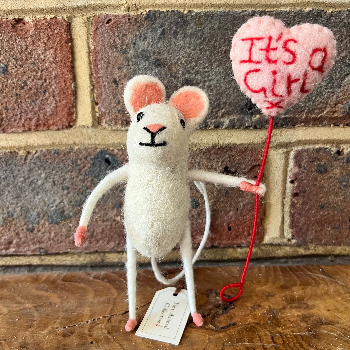 It’s a Girl Mouse
