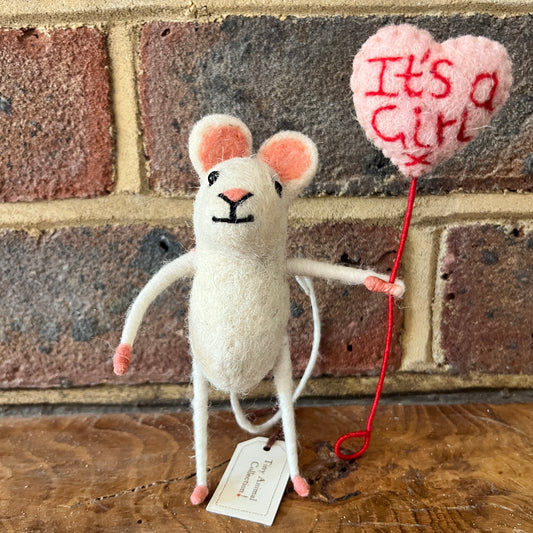 It’s a Girl Mouse