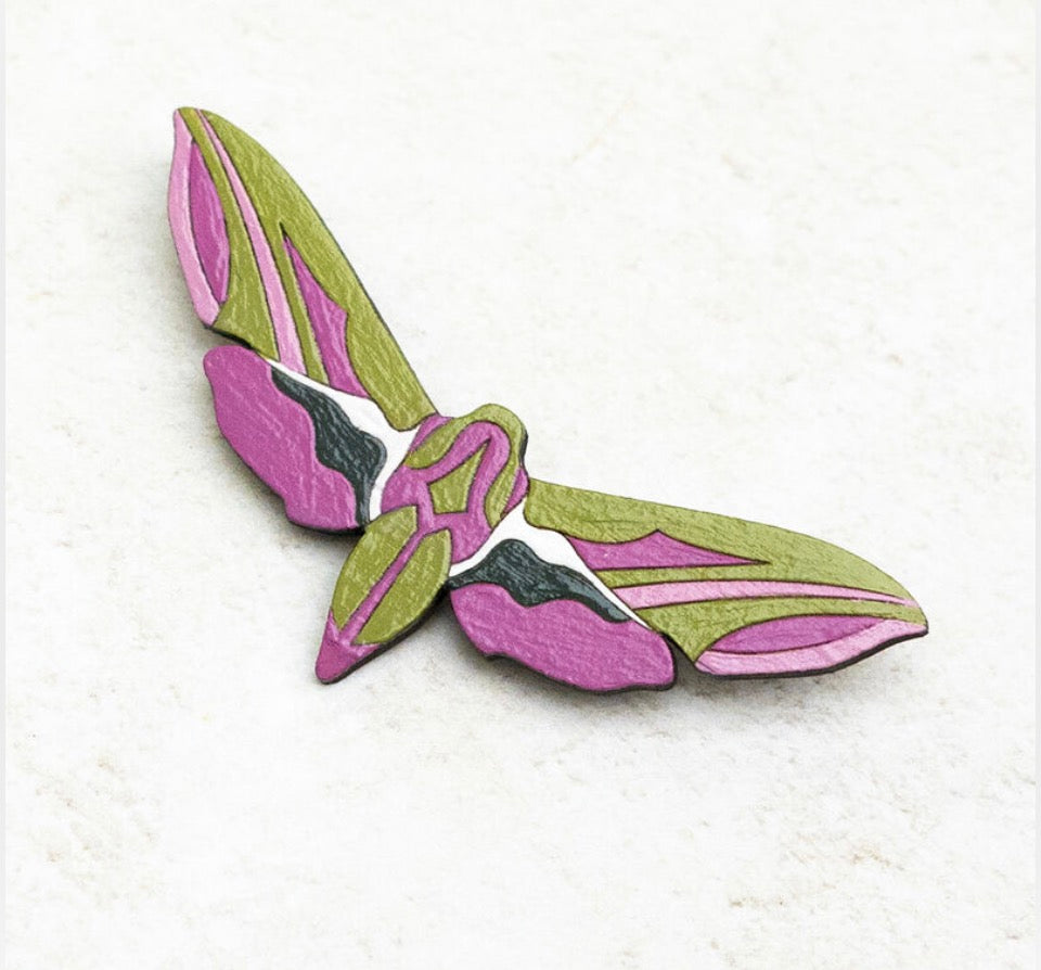 Elephant Hawk Moth