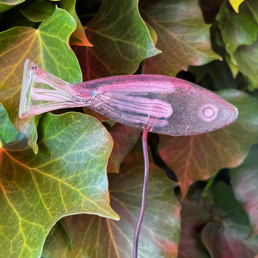 Small fish on Wire