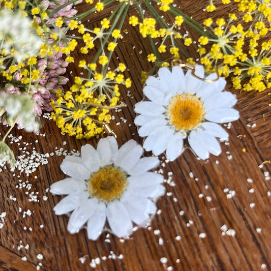 Nordic Flowers Daisy Earrings - gold