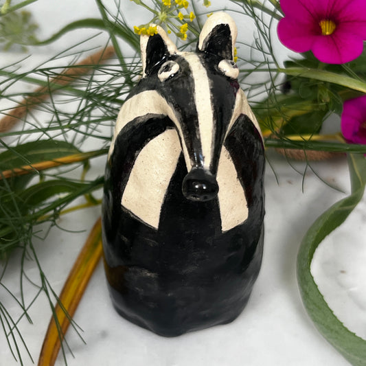 Little Barry Badger