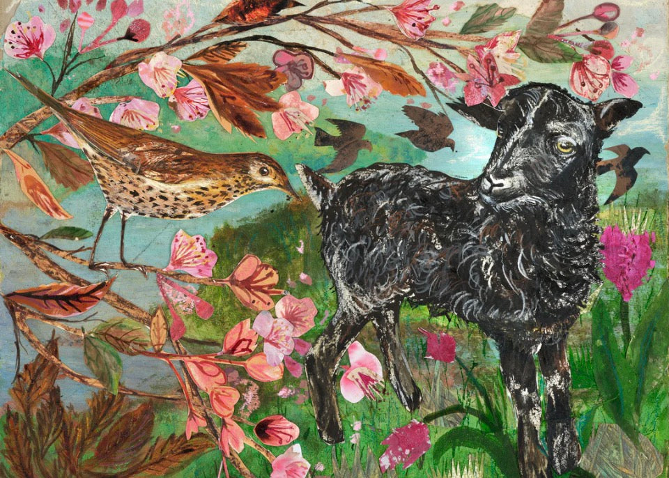 Spring Lamb Blank Greeting Card