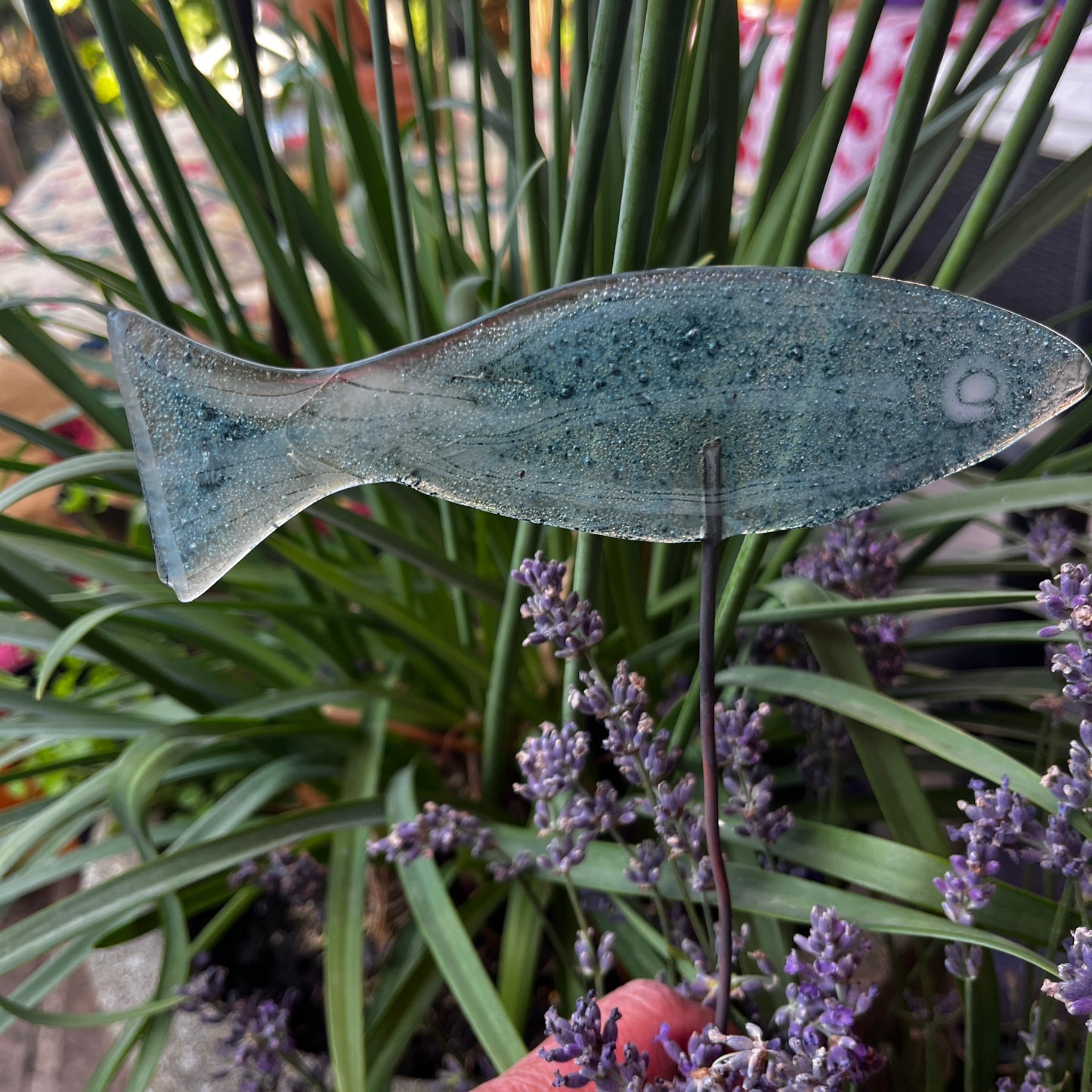Medium Fish on Wire