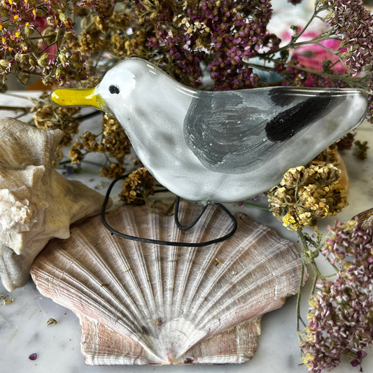 Birds on a Spring!