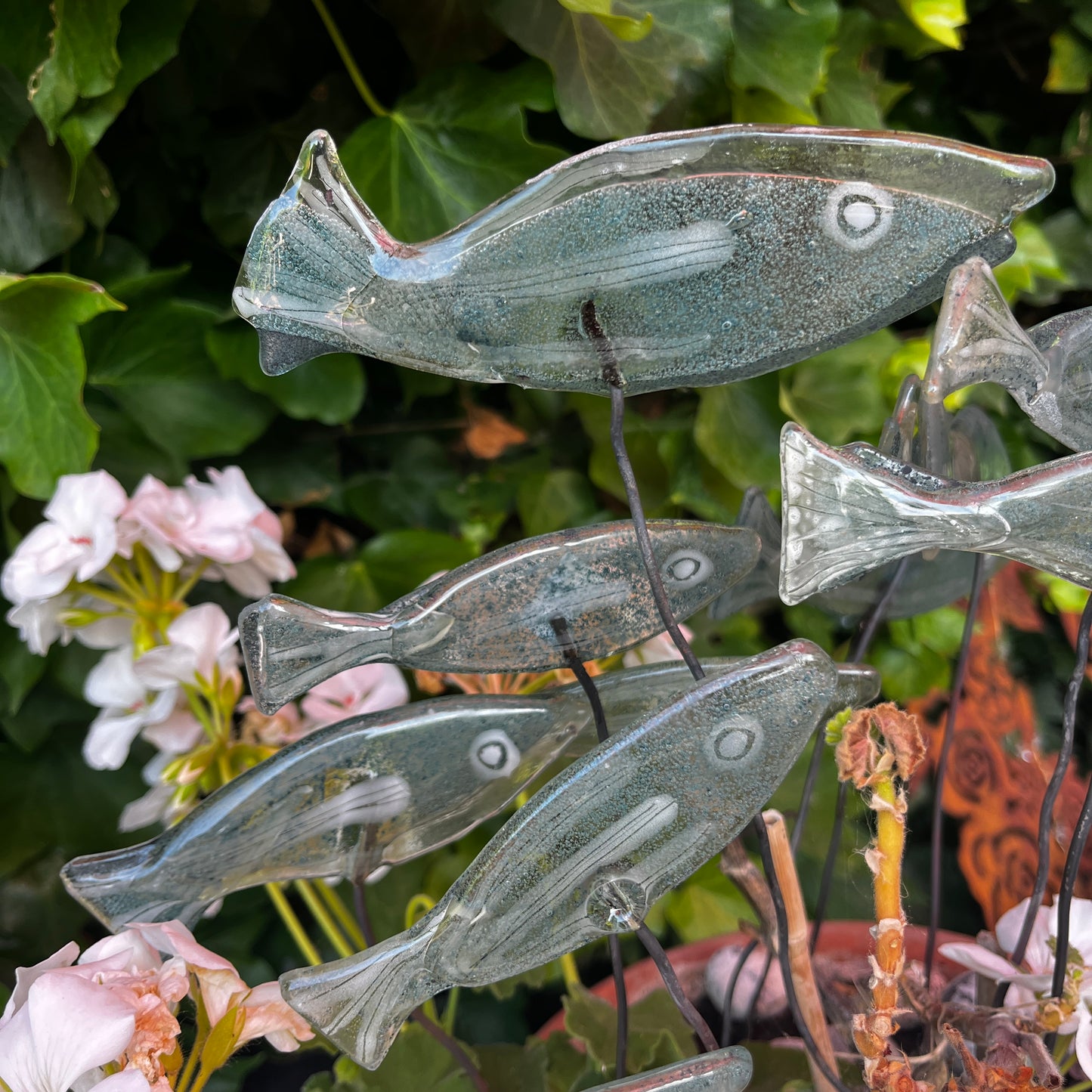 Small fish on Wire