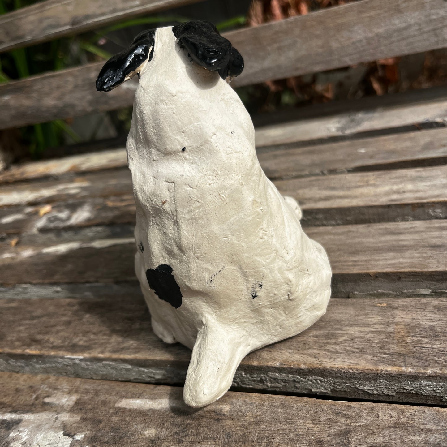 Beryl the Dog  by Helen Jewsbury