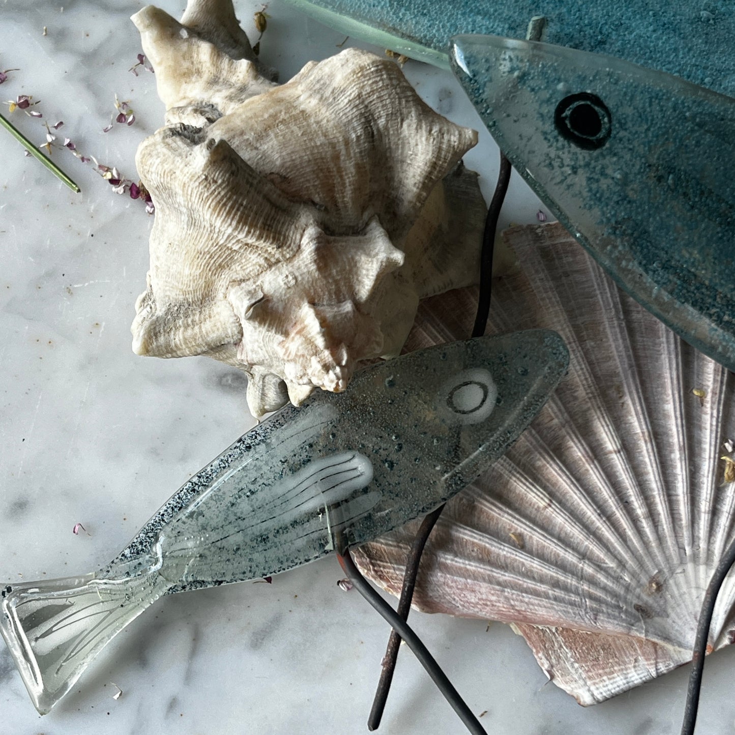 Small fish on Wire