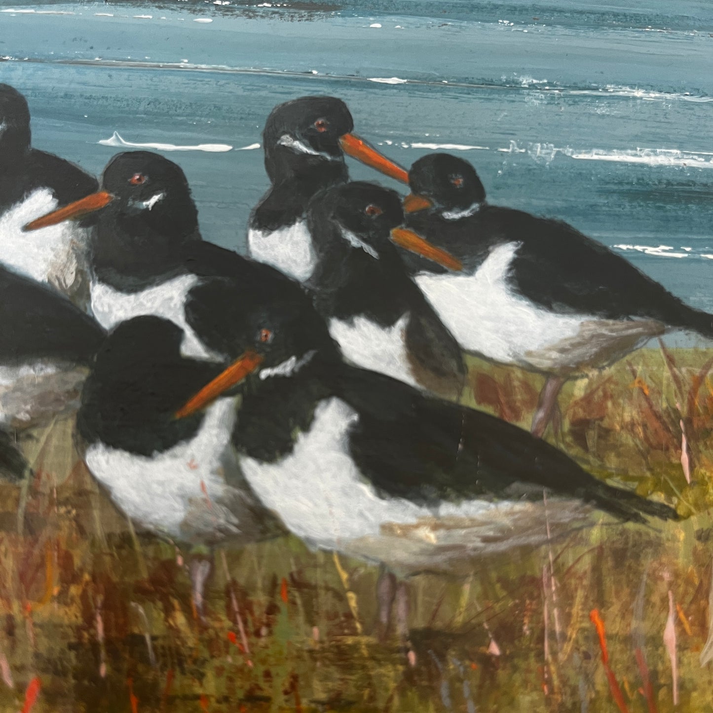 Oyster Catcher Painting by Stephen Ferguson