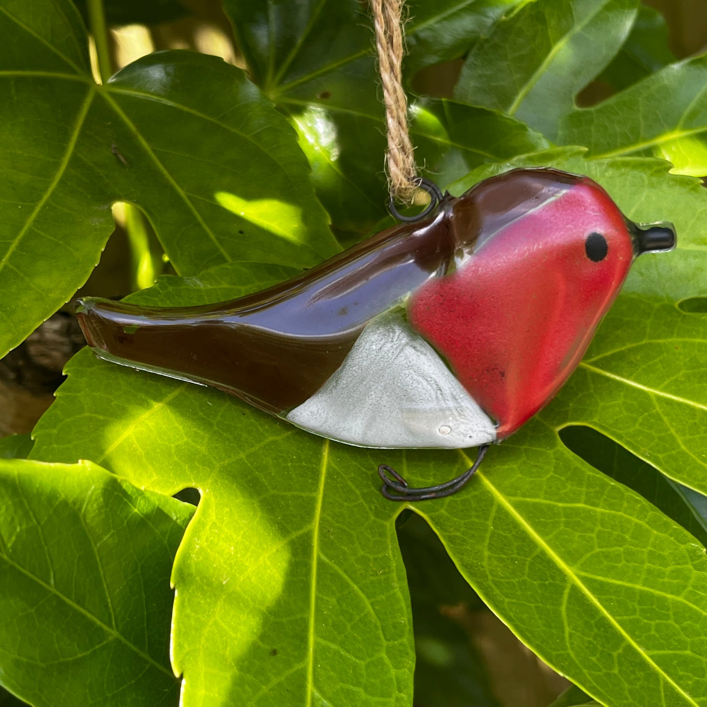 Glass Robin