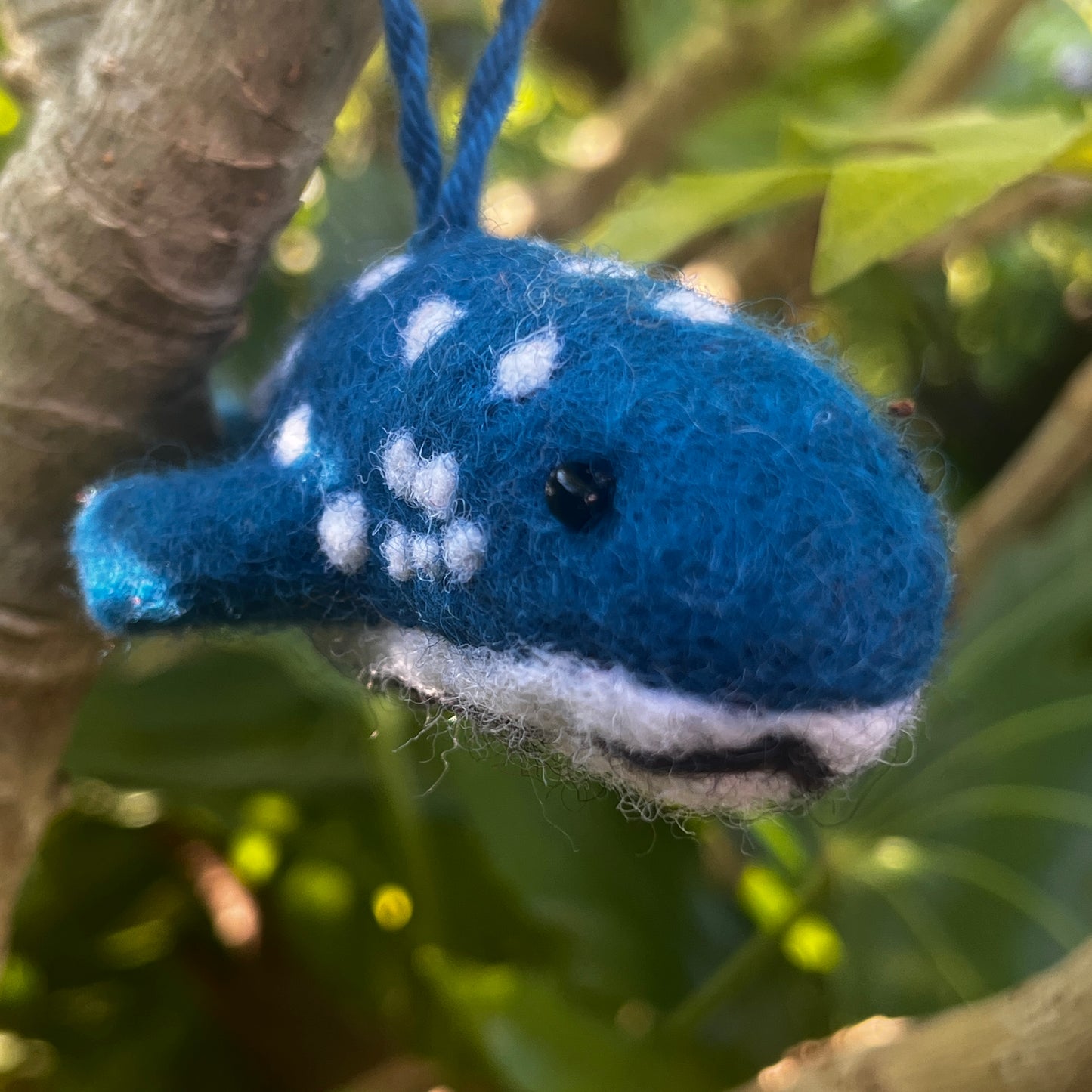 Felted Shark