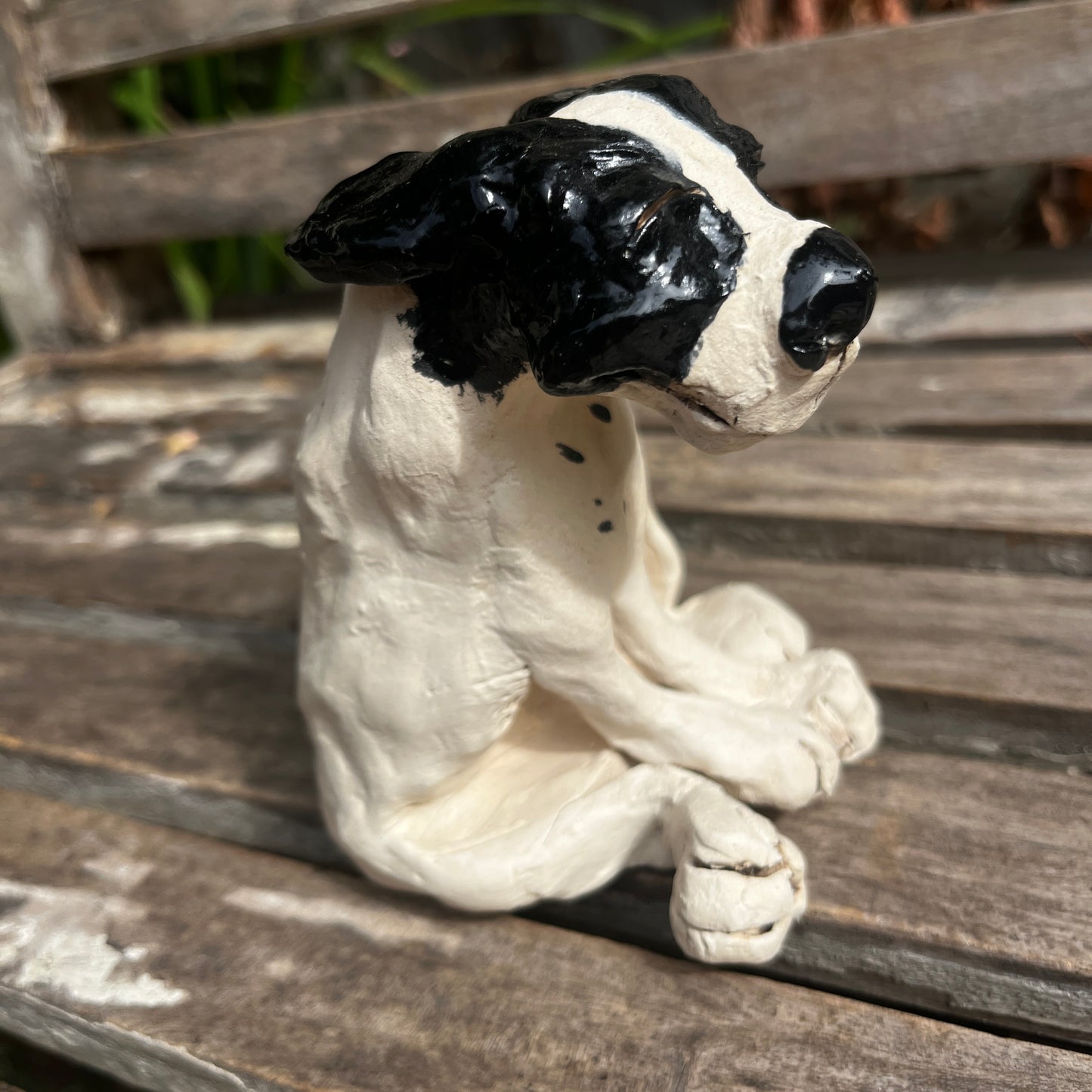 Beryl the Dog  by Helen Jewsbury