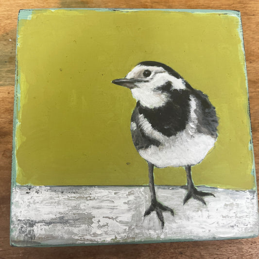Pied Wagtail Painting by Stephen Ferguson