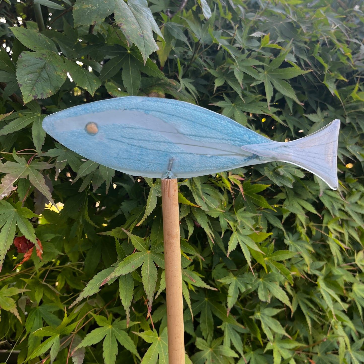 Large Fish on Cane