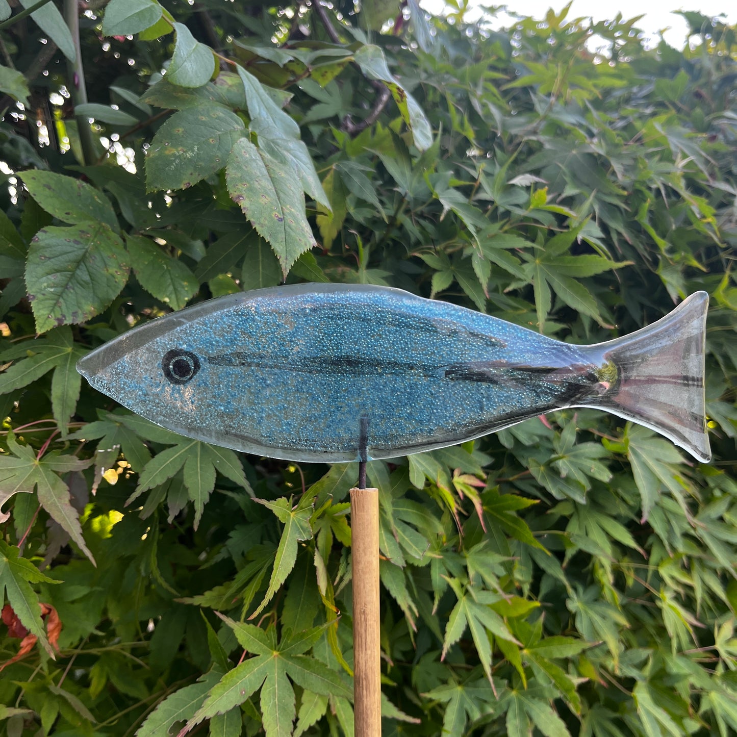 Large Fish on Cane