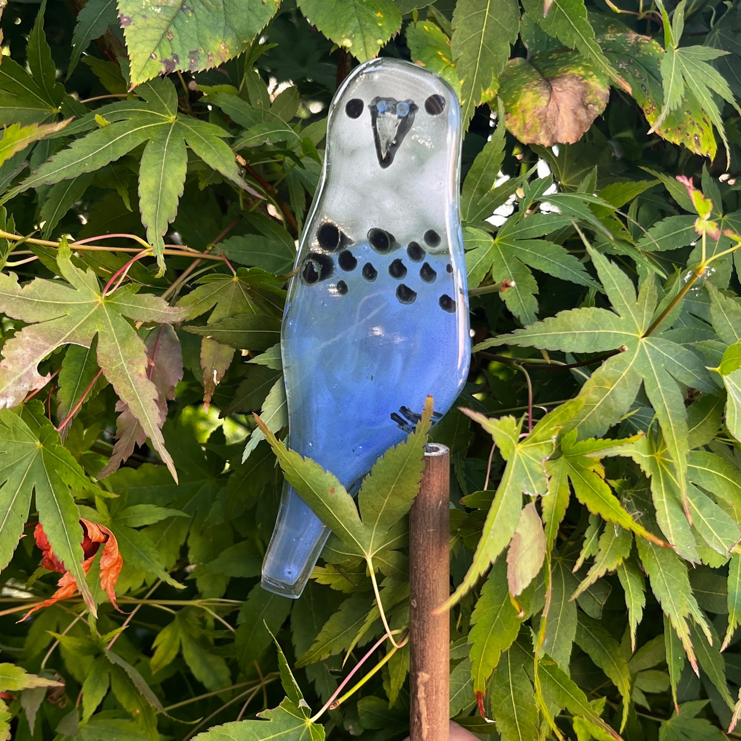 Glass Budgie on a Cane