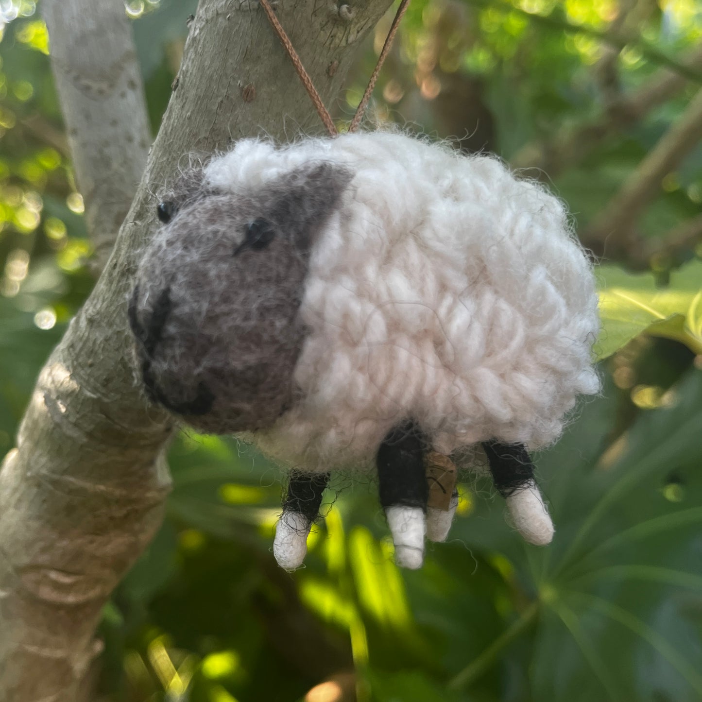 Little Sheep Hanging