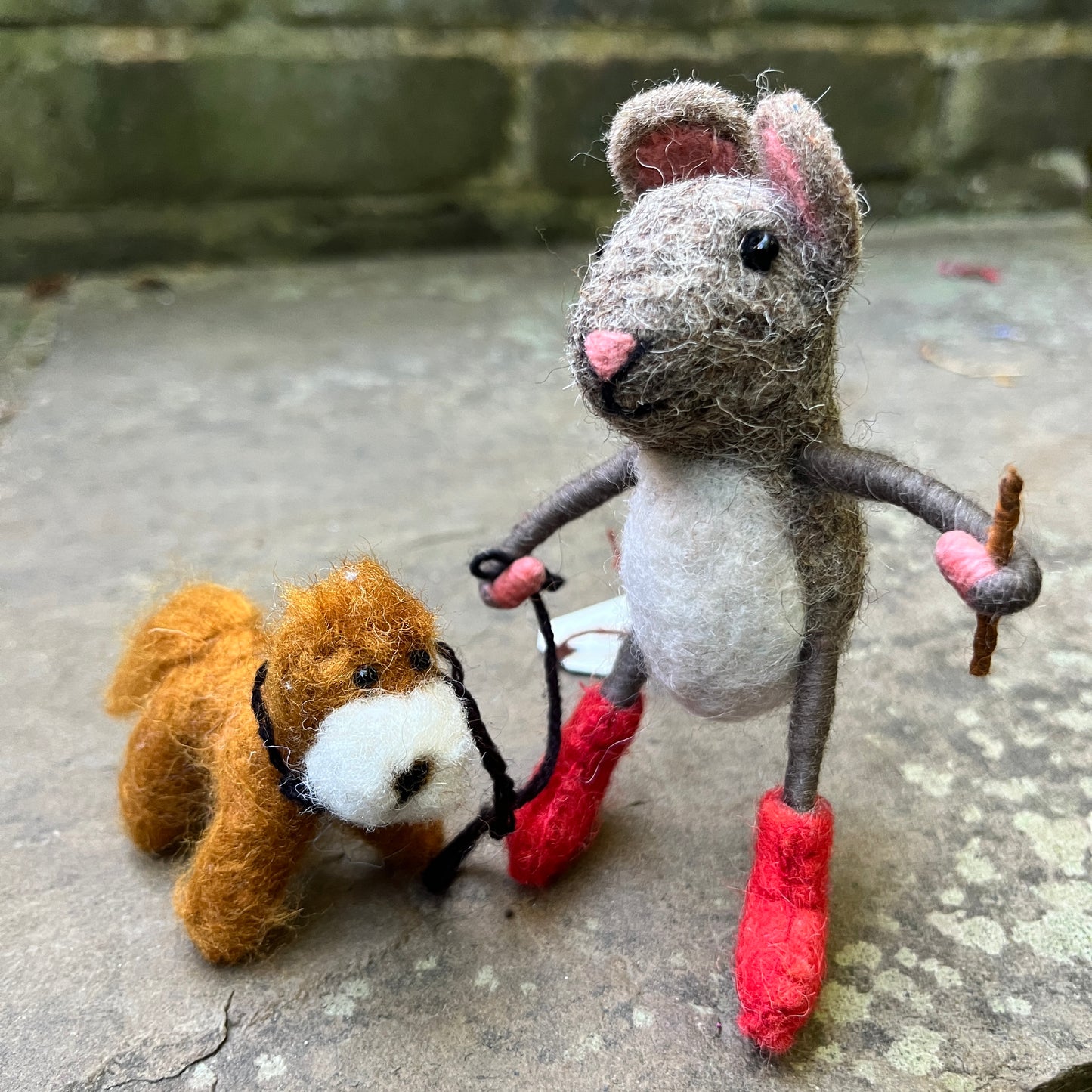 Mouse Walking Cockapoo