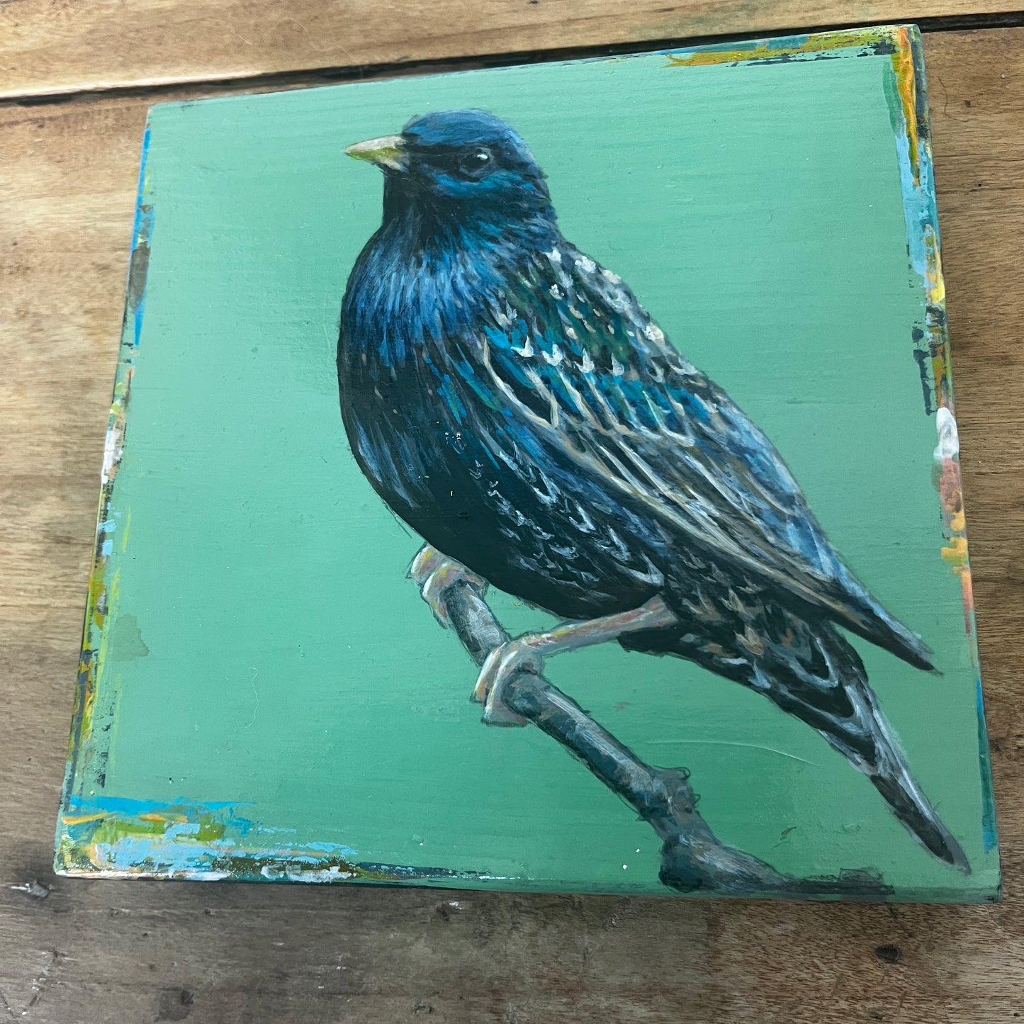 Starling by Stephen Ferguson
