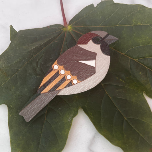 House Sparrow Hand Painted Brooch by Shark Alley