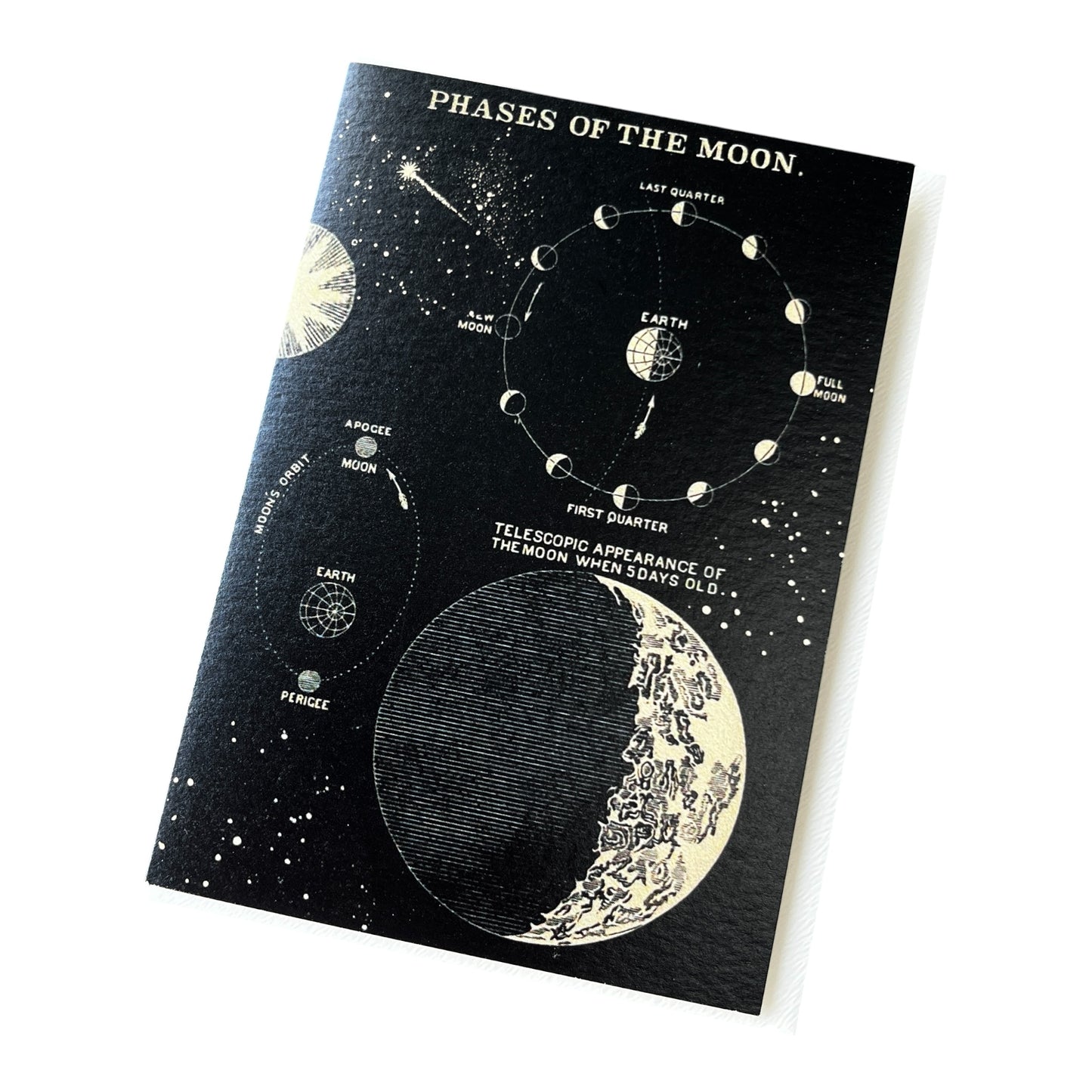 The Moon Greeting card by Madam Treacle