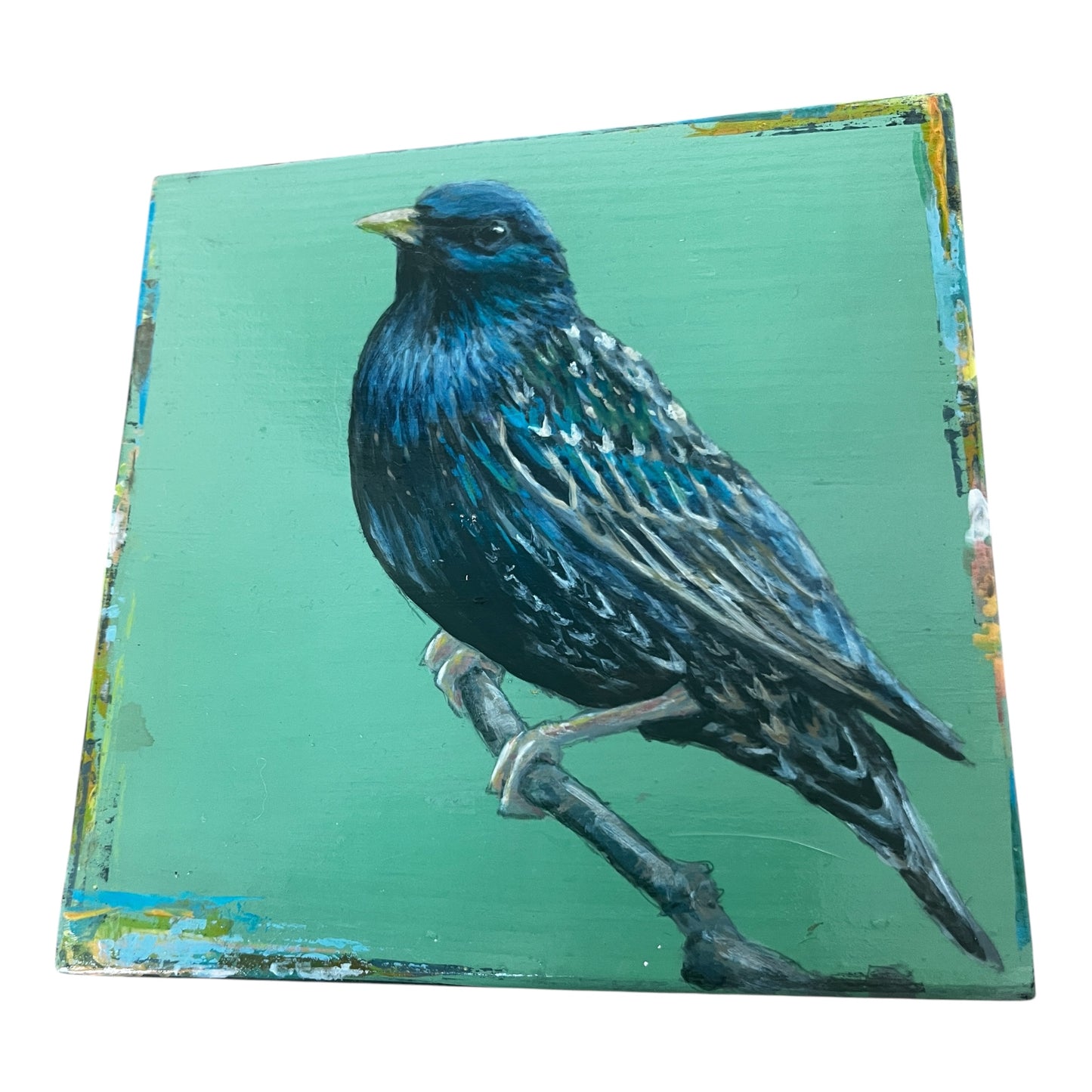 Starling by Stephen Ferguson